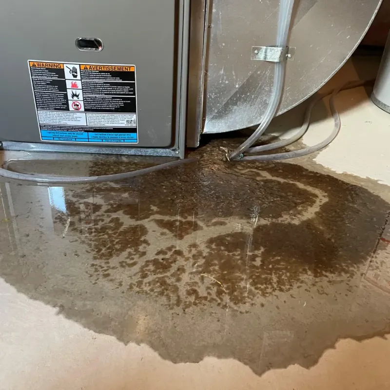 Appliance Leak Cleanup in Belville, NC